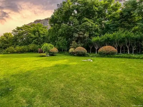 绿地是指城市和乡村中用于绿化和休闲的开放空间,包括公园,花坛,草坪