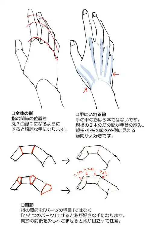 绘画参考#手部教程