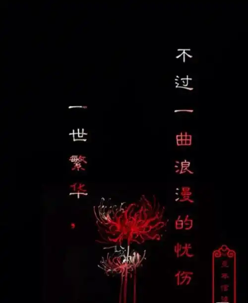 第5期彼岸花语录