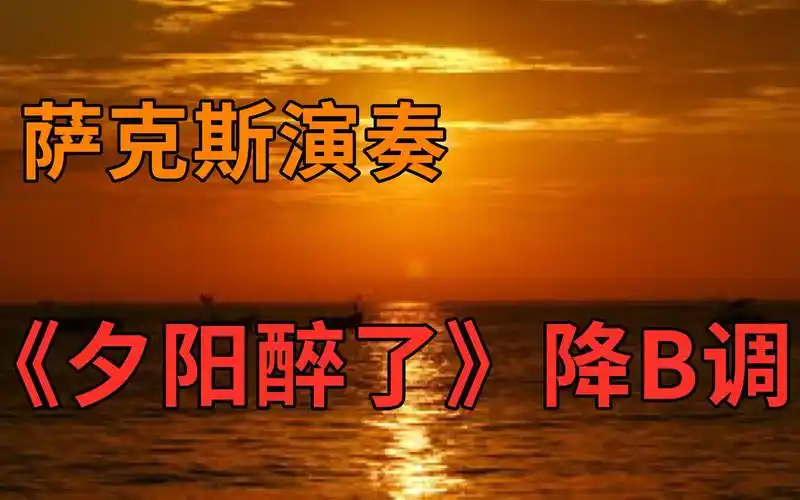 萨克斯演奏《夕阳醉了》张学友经典老歌 醉人的旋律 太有感觉了