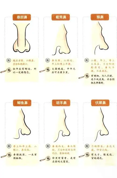财运亨通之相——鼻子是装钱的口袋