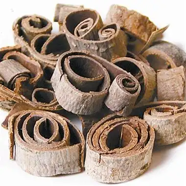 [树木传奇]厚朴:淳厚质朴 千年奇药