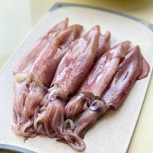 灯光小鱿鱼海兔子新鲜笔管带籽海兔半籽笔管鱼鲜活籽乌乌贼籽海兔一斤