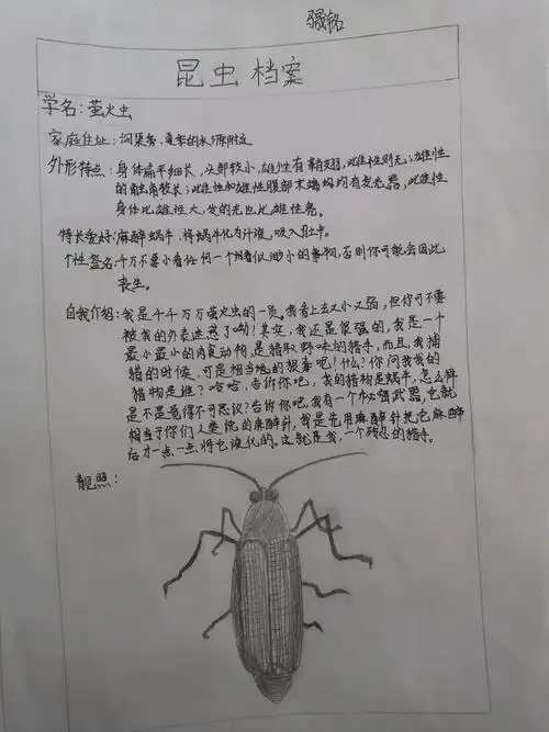 391班《昆虫记》之昆虫档案