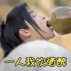 一人我饮酒醉gif欢乐颂2gif刘涛gif