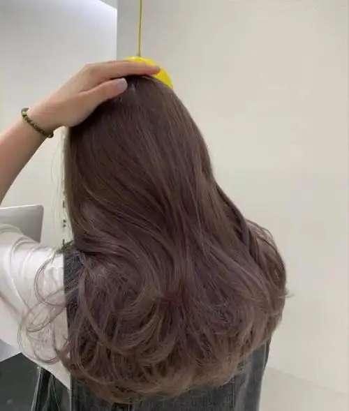 朱古茶头发颜色