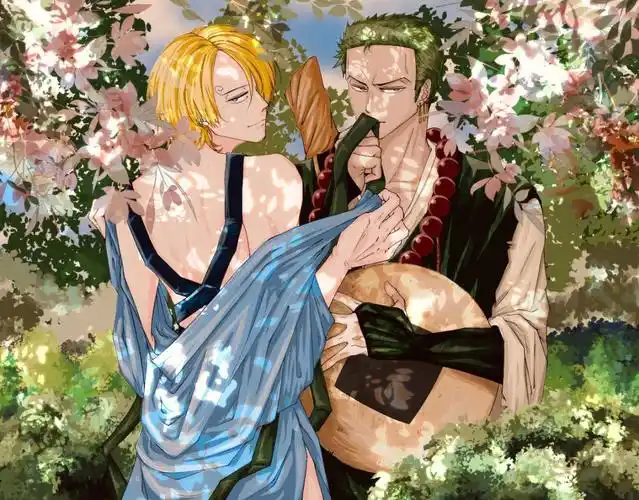 96画师jaeger_mm#海贼王  #索香  #索隆  #山治