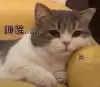 刚睡醒什么事人呢表情包 - 刚睡醒什么事人呢微信表情包 - 刚睡醒什么