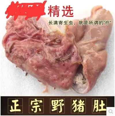 猪肚疔:真正的危险来源