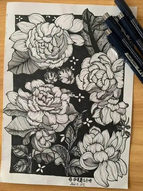 完成了买了不同粗细的针管笔果然好用第一次画这么复杂的,画的有点懵