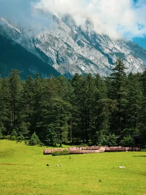 丽江云杉坪现实版的绿野仙踪