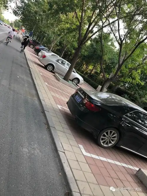 康博公馆嘉诚东郡华嬉庄园的居民你路边的停车这样停