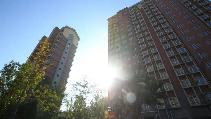 在顺义区住建委,规自分局等部门的大力支持下,11月8日,9日,仁和镇河南