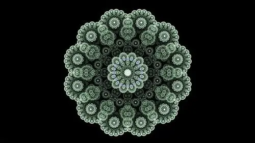 曼德勃罗与他的分形几何学