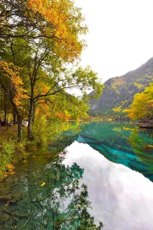 仙境九寨&最美黄龙【影像出品】摄影作品欣赏