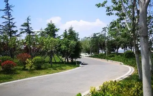 越秀天悦海湾动态:项目西侧白泥地公园-青岛安居客