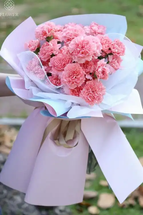 康乃馨花束圆满