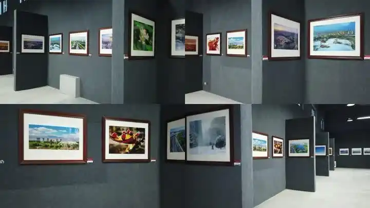 室内展馆照片墙