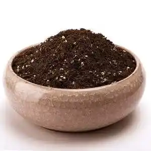 多肉泥土花盆图片