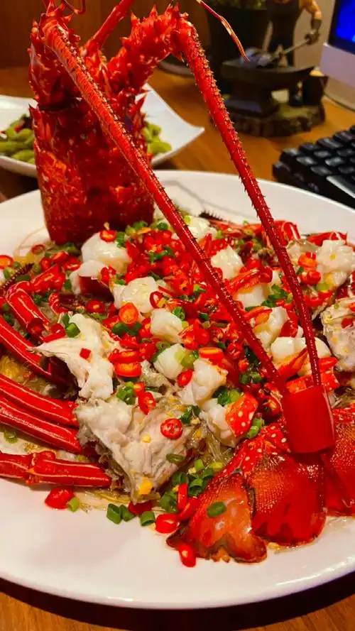 澳龙和波龙的区别