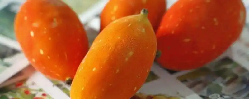 红参果是什么东西