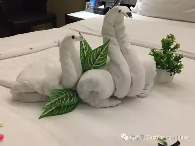 第二届客房毛巾折叠创意大赛,脑洞大开,辣眼睛!