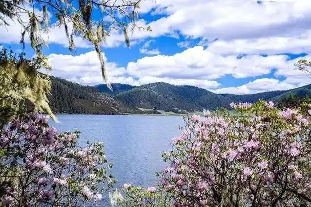 云南旅游攻略,香格里拉旅游必去的景点,一个让人陶醉的地方