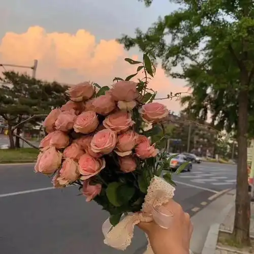 背景图抖音热门的朋友圈背景图