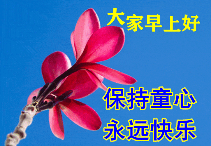 7月15日最漂亮早上好动态表情图片大全早晨好动图美图大全