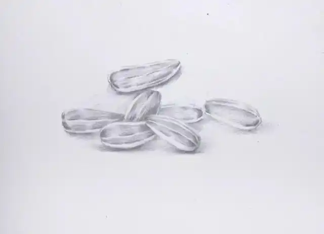 教你用彩铅画葵花籽 快随画出逼真的彩铅瓜子!