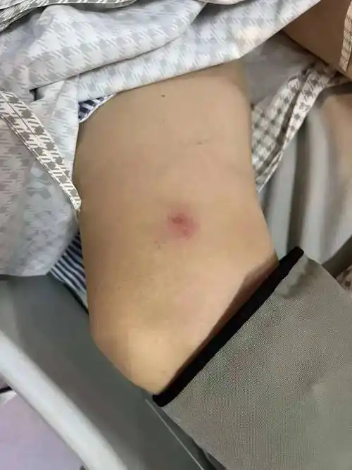 台州人千万别碰_刘师傅_李彬彬_银环蛇