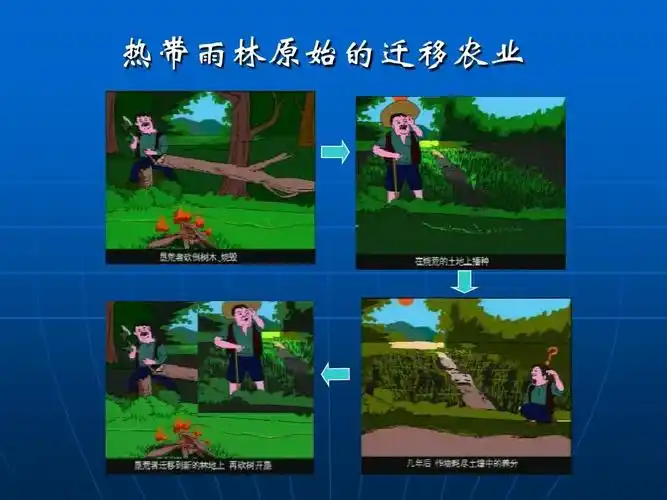 高中世界地理教学的课件《拉丁美洲和巴西》 热带雨林原始的迁移农业