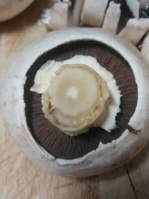 昨天我买的蘑菇,洗干净后没放冰箱,今天下班回来一看