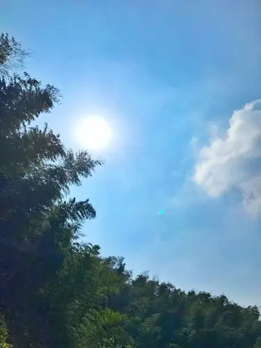 黑麋峰最是一年春好处