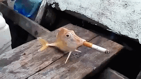 请珍惜少女的青春 感觉有点小邪恶的动态图