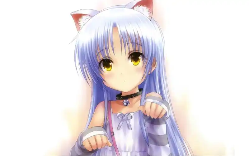 电脑壁纸 动漫卡通 动漫人物 q版猫耳娘立华奏