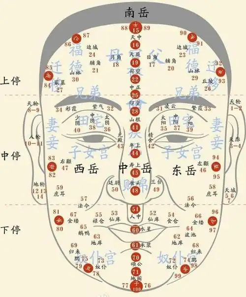 麻衣相法口诀(麻衣相法手相面相口诀) - 科猫网