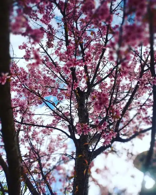 1280_1600竖版 竖屏