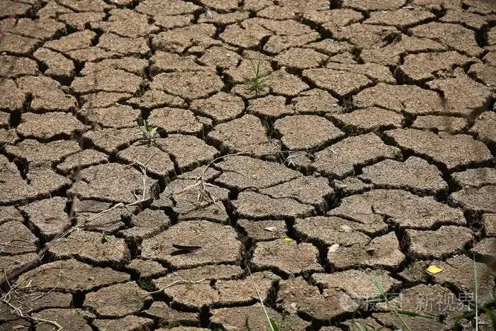 龟裂的大地背景和文本, 干地和热表面的夏季,地面空区热环境周围裂纹