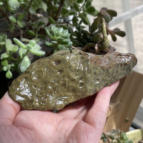 虫眼化石新疆哈密大南湖戈壁滩古生物虫化石原石摆件手把件观赏石