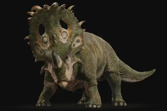 中国角龙的外形特征中国角龙属于大型植食性角龙类恐龙,体长普遍可以