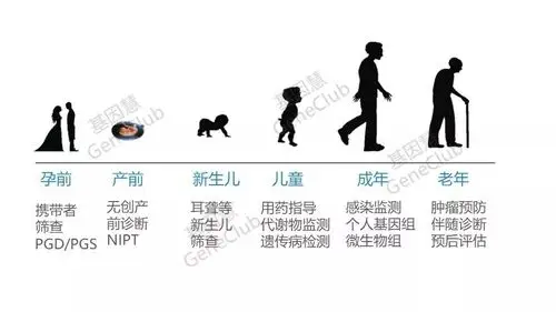 图5,基因检测贯穿人的生命周期
