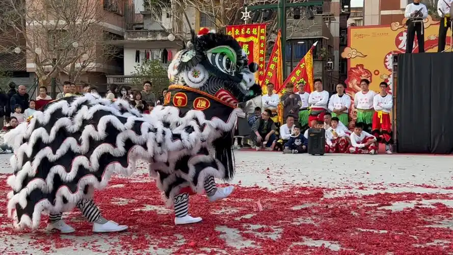 传统赵云狮采青蛇阵(东莞石龙镇)醒狮