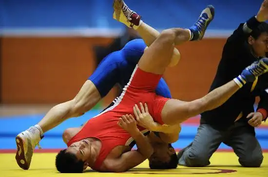 图文-男子自由式摔跤奥运会选拔赛 普家龙被扳倒
