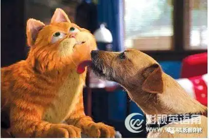 电影加菲猫经典台词中英文对照