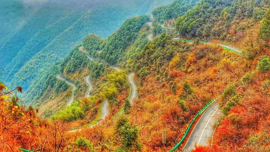 宁国落羽红衫林,皖南川藏线六道湾旅摄片!2020.11.28.29