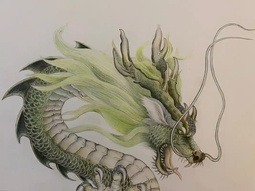 我的彩铅画~青龙~带步骤图 冷光和暖光你们更喜欢哪个?