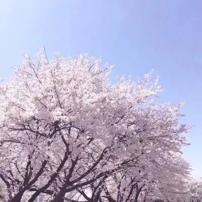微信/qq朋友圈封面背景 风景/酷/正方形 自用