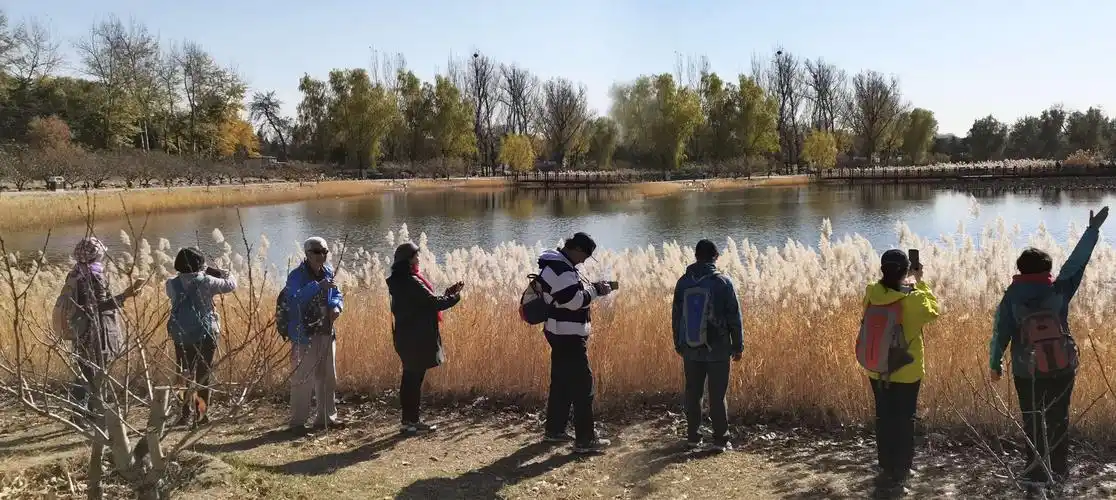 由刘明合成的八个人集体合影