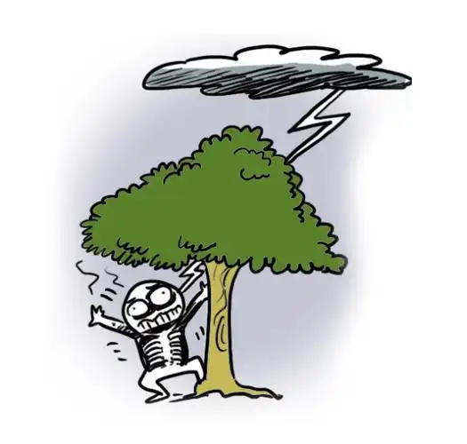 什么保险赔付雷劈 雷劈保险理赔吗